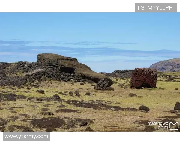 智利与秘鲁比赛购票指南及注意事项详解